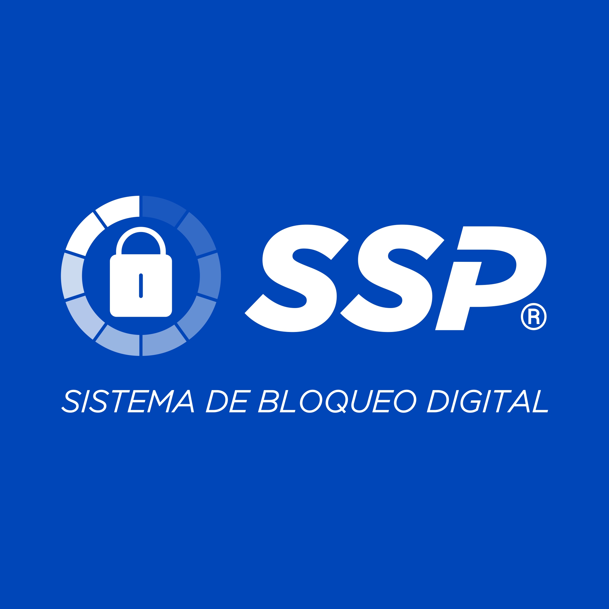 Sistema de Seguridad Personalizada